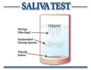 Salive Test